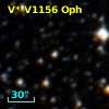 V* V1156 Oph