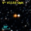 V* V1153 Oph