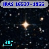 IRAS 16537-1955