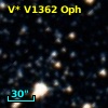 V* V1362 Oph
