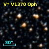 V* V1370 Oph