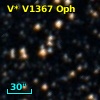 V* V1367 Oph