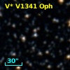 V* V1341 Oph