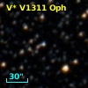 V* V1311 Oph