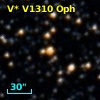 V* V1310 Oph