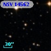 NSV 14562