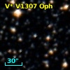 V* V1307 Oph