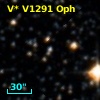 V* V1291 Oph