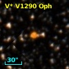 V* V1290 Oph