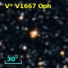V* V1667 Oph