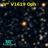 V* V1619 Oph