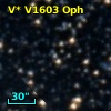 V* V1603 Oph