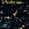 V* V1537 Oph