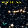 V* V1531 Oph