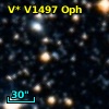 V* V1497 Oph