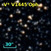 V* V1445 Oph