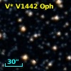 V* V1442 Oph