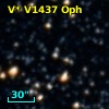 V* V1437 Oph