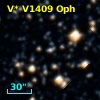 V* V1409 Oph