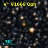 V* V1666 Oph