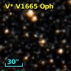 V* V1665 Oph
