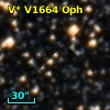 V* V1664 Oph