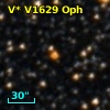 V* V1629 Oph