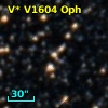V* V1604 Oph