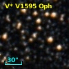 V* V1595 Oph