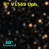 V* V1569 Oph