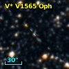 V* V1565 Oph