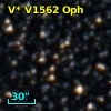 V* V1562 Oph