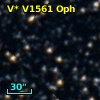 V* V1561 Oph