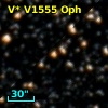 V* V1555 Oph