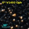 V* V1493 Oph
