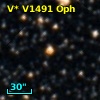 V* V1491 Oph