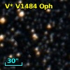 V* V1484 Oph