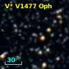 V* V1477 Oph