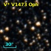 V* V1473 Oph
