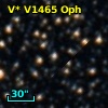 V* V1465 Oph
