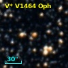 V* V1464 Oph