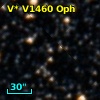 V* V1460 Oph