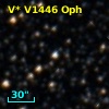 V* V1446 Oph
