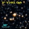 V* V1441 Oph