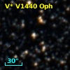 V* V1440 Oph