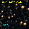 V* V1420 Oph