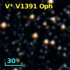 V* V1391 Oph