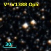 V* V1388 Oph