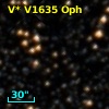 V* V1635 Oph