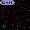 LDN   60
